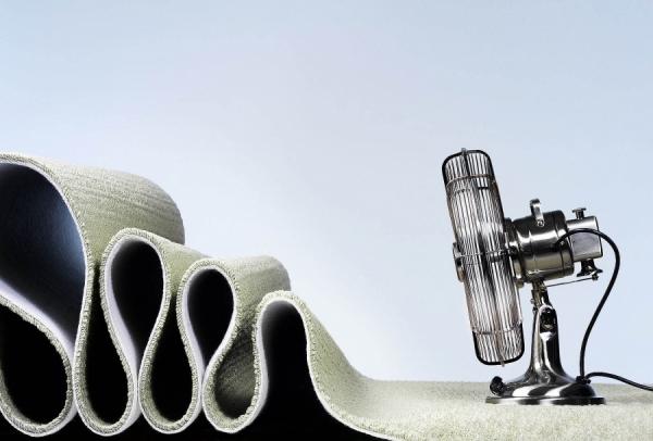 Photograph Mark Wiens Fan And Carpet on One Eyeland